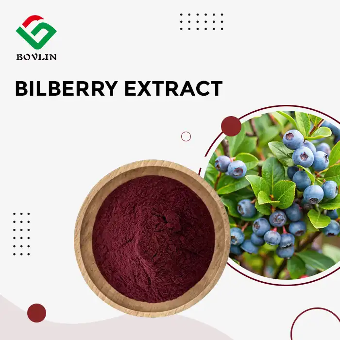 Bilberry Extract Powder Bilberry Extract Powder